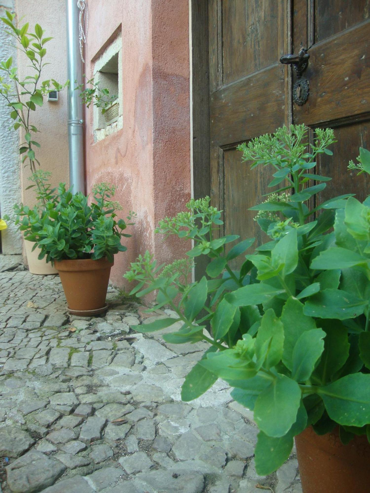 Bed & Breakfast Antico Мотовун Экстерьер фото